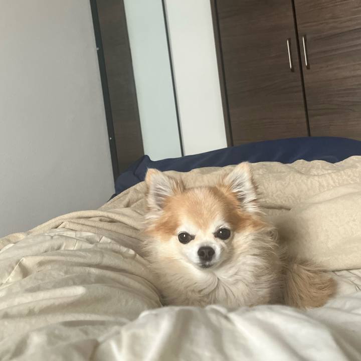 8777ff08 2e6e 4833 a52d 7722f76ffa6e 1770874171745