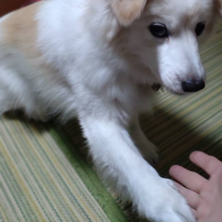 87781271 f8ff 4bc8 baec d25a7aa6e12b 1647509501355