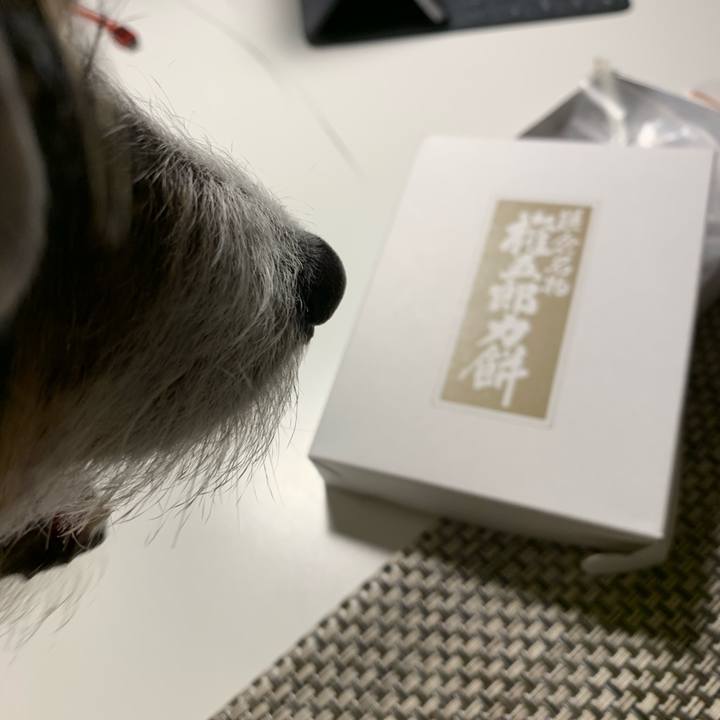 87781bd5 468e 484c a124 0e4dafe95ddd 1583405680446