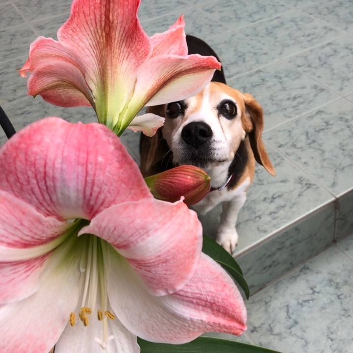 877840e6 2a6f 45a0 8c36 46150d76bb05 1558011189881