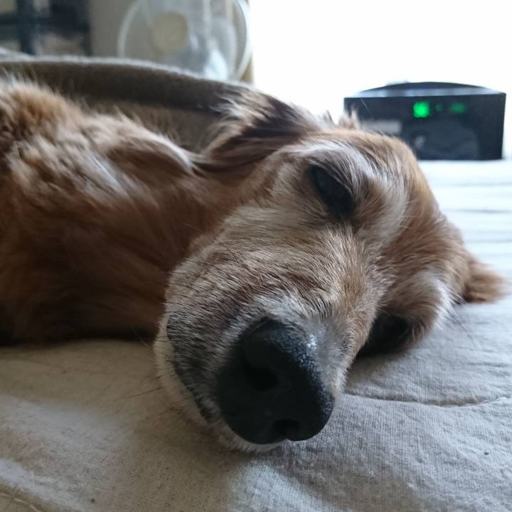 8778469e aaef 414f 9cbf 364478d5a9e3 1587665637299