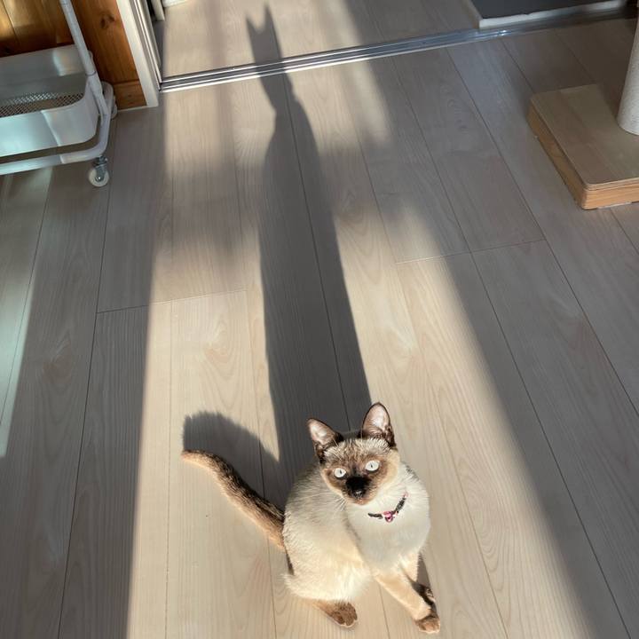 87787846 77f7 4862 a3a0 4d3826931f7b 1698993884280