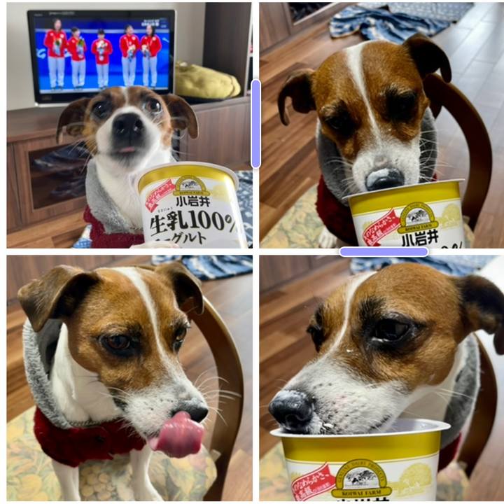 877894ed ef96 48b0 bea3 3b54ae35866b 1645330579043