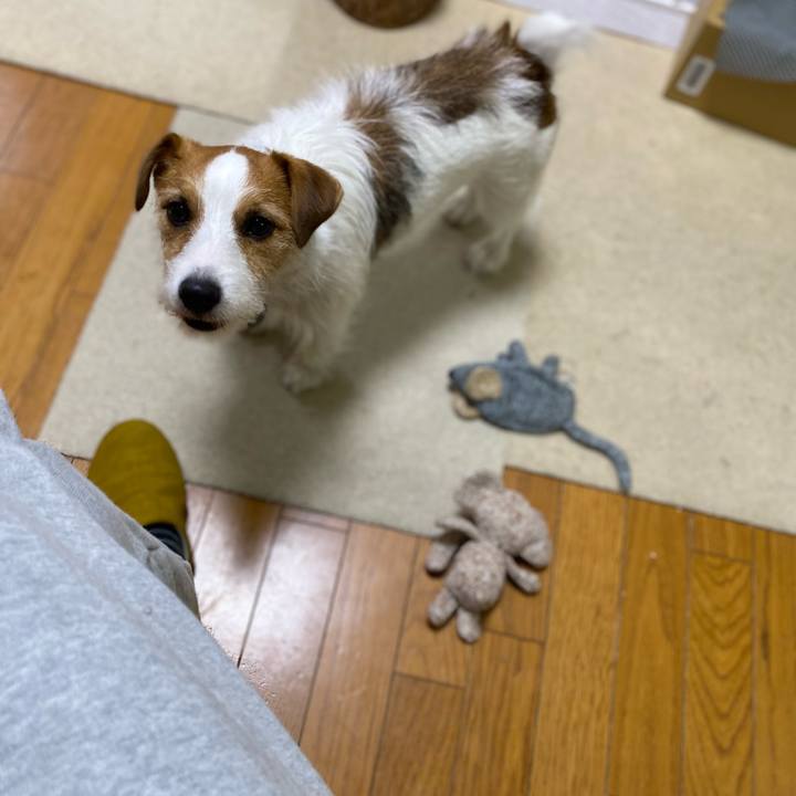 8778d451 4df9 49d4 8314 3c6f97d6e367 1682343046946