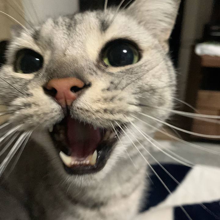 8778d484 c4eb 4ab5 a7e7 5cf5faba3d26 1648720068498