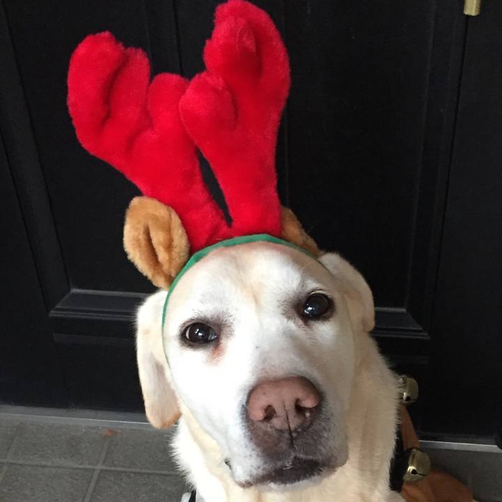 8778e5ad e976 4f20 8427 14c0b87073d2 1577241393058