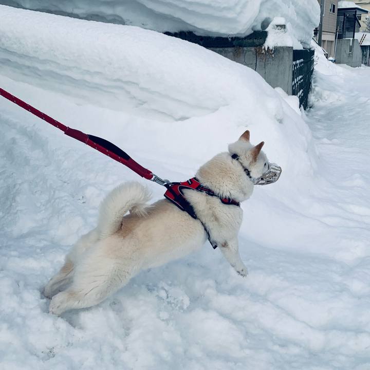 877915db 8c6b 45bb 89b7 2ba88d0d0528 1677882550184