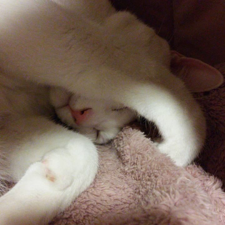 87798ca7 59d8 4208 9ce6 728095e40753 1513336053013