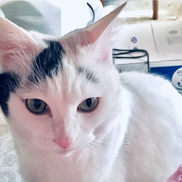 8779e425 8f5e 40ce b12a 605baffbf710 1574924548347