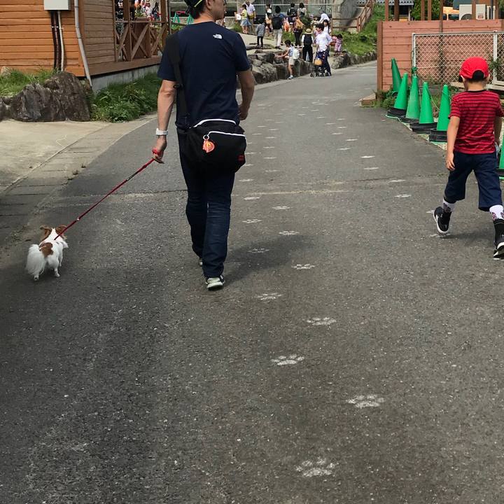 8779fe3b 2ba9 49d9 b33e d17497592c5e 1535250599963