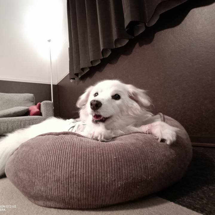 877a1ad0 c8e5 46d9 a033 d2f01bfc98ca 1755686571867