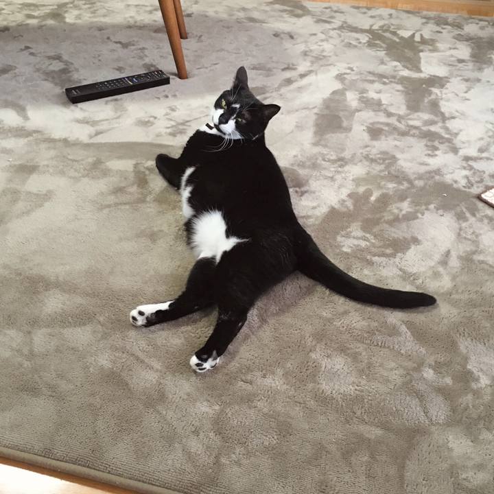 877a34ea 8a67 4b57 a34c 1d806f2f79b7 1765680113581