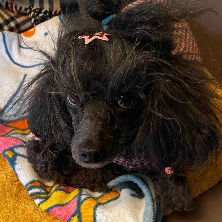 877a76b8 53ff 4323 a23f b06efc712f7a 1674746935069