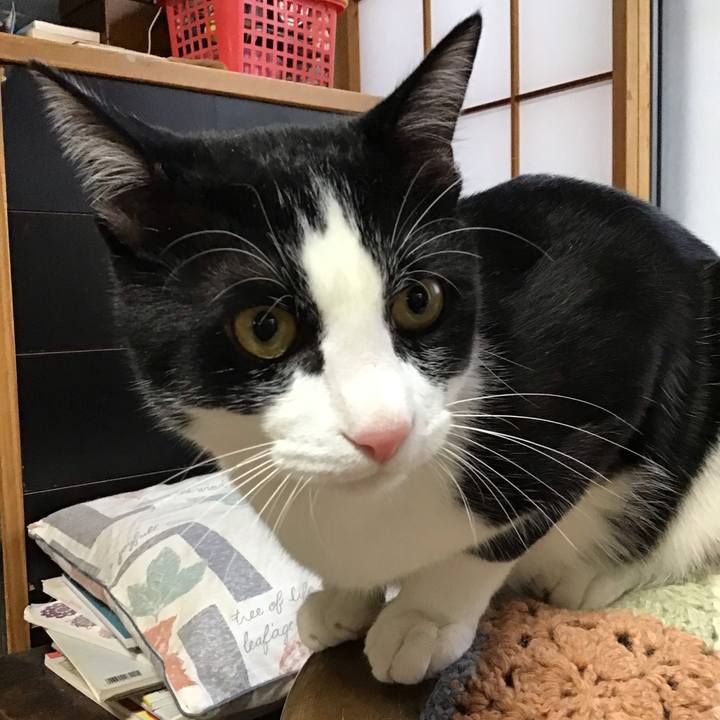 877a9110 b2fd 4fa9 ae49 0fc80c2781b8 1650187396025