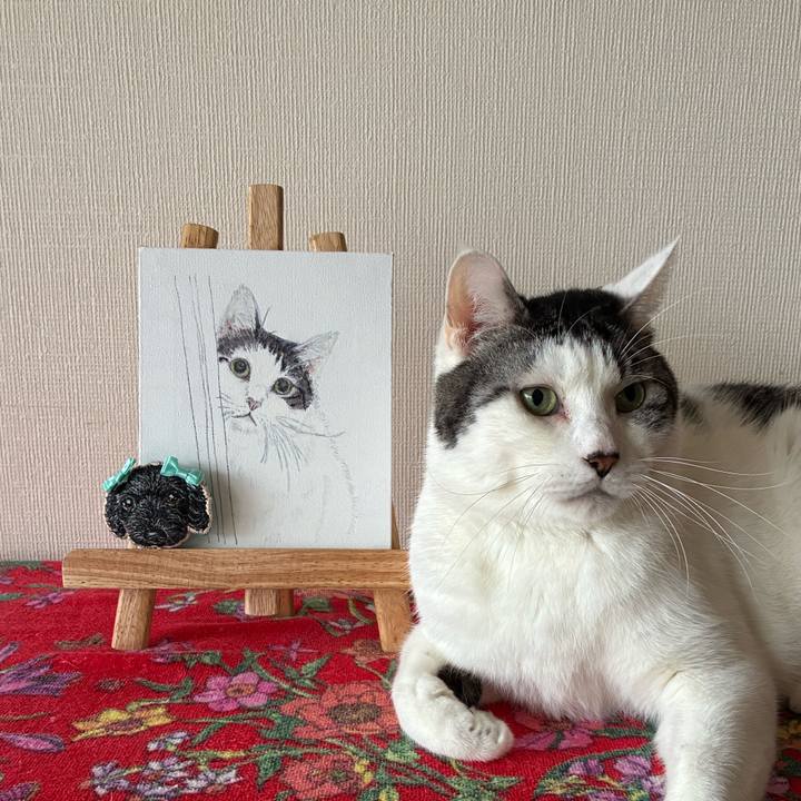 877a9115 04d9 4ba9 97ba d8db8a11f1a0 1770504867827