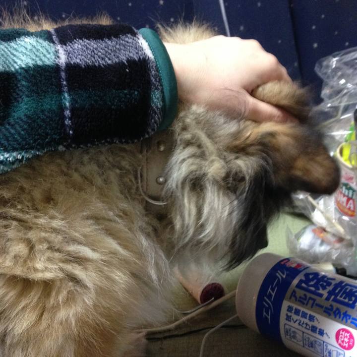 877aa0c9 44a2 4880 8f96 b93424520a9c 1601579926331