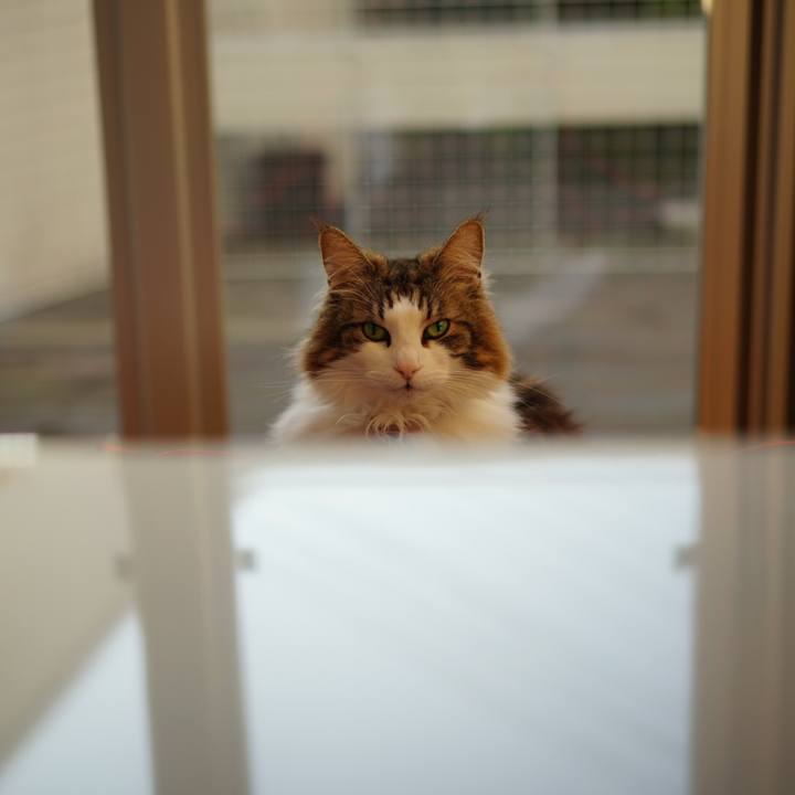 877b2942 47a7 427a bdaa 1c8898f0eb8b 1676793361549