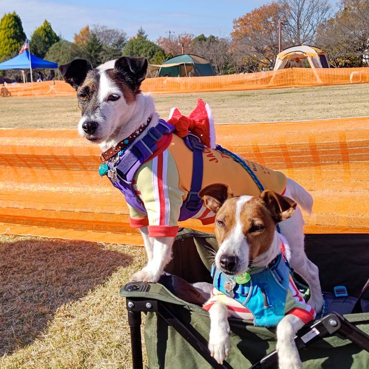 877b4931 affb 4af2 8a84 dcbe5dc79a17 1638708349226