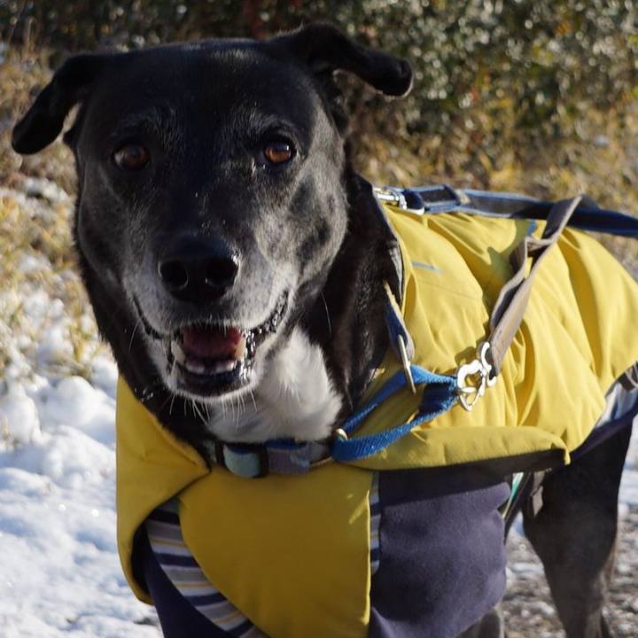 877b613f 1ba5 4ae6 816a 3b326b7cfc2a 1770596974539