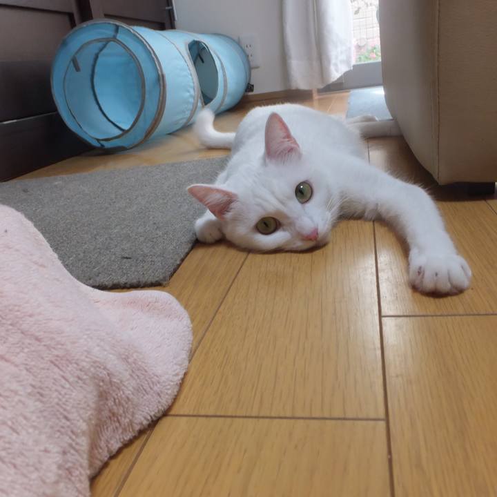 877b875b 3fb9 4fbc 8905 12b44f0cdeec 1631504078990