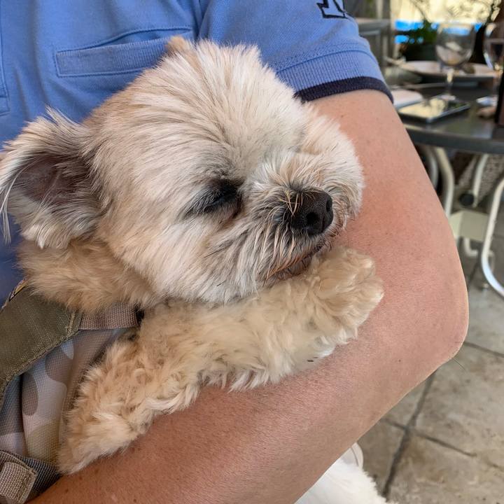 877bbd38 1665 429f 82a1 432dfef8007d 1714300927074