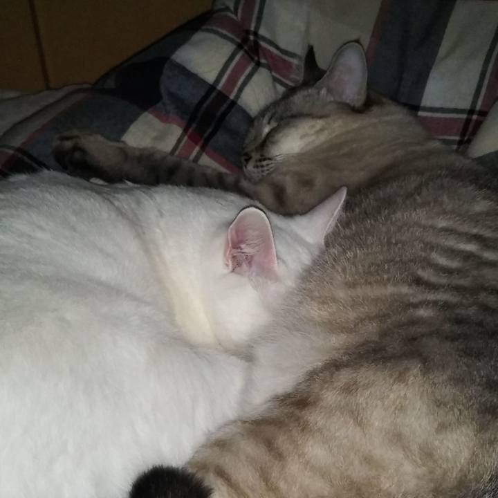 877c2dc0 24be 40d5 986f a53f4c3cdd16 1576338724016