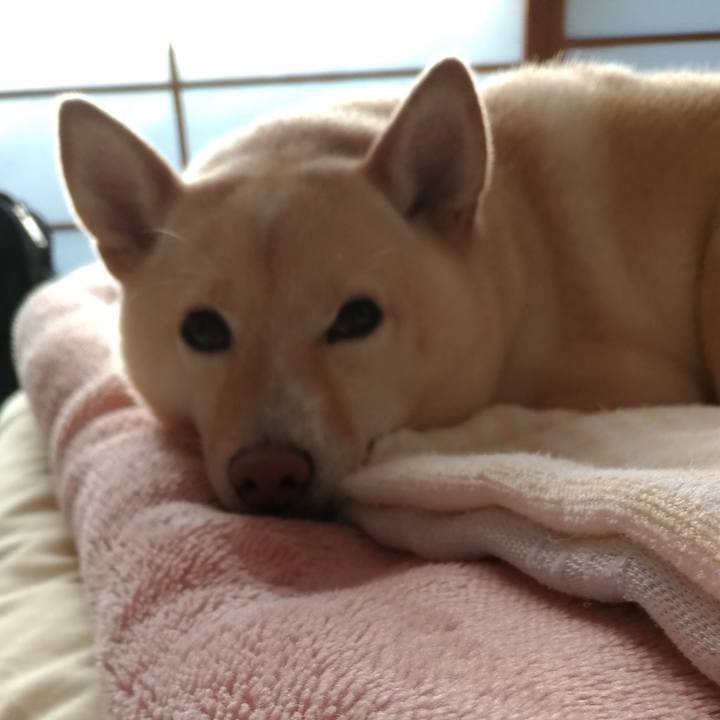 877c5459 8e82 4a11 ad2b 371b4817b6ee 1606088305039