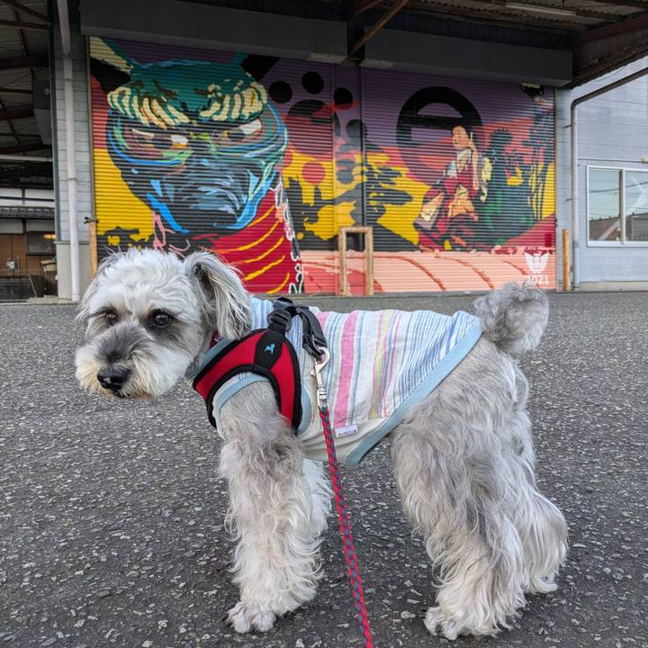 877cb669 ca7e 499e 925d b6e5b8d163e0 1760652178119