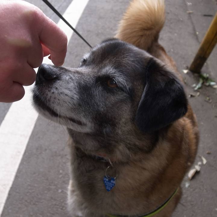 877cc9dc f08a 4901 8f70 875d045bc1f1 1584922107933