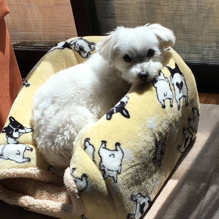 877ccc27 39d3 485c 9ec9 50b54d94b283 1554351375261