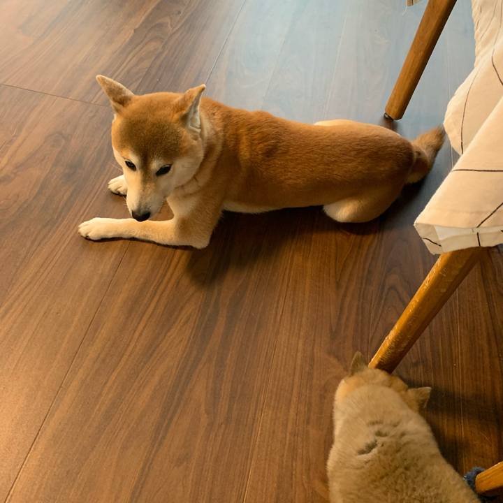 877ccd15 5296 4dbb 9911 ce4e07d317d9 1616795432842