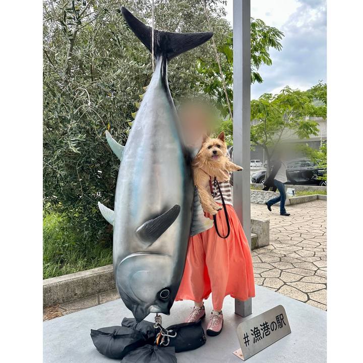 877cce65 671e 4c78 ab90 fe481f249c3b 1749304645957