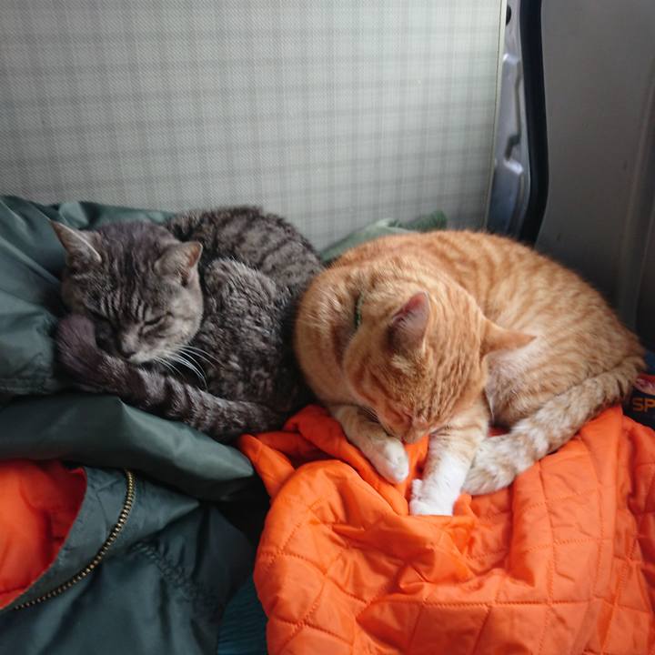 877ce185 f33f 4ddd 9b2b ce3f7d677028 1581750270755