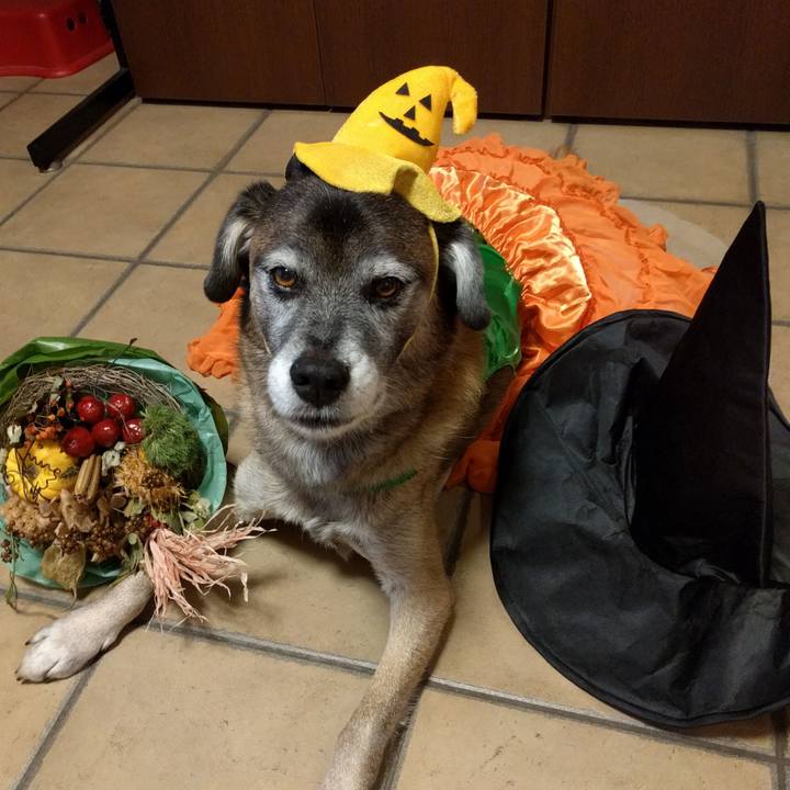 877cf51c d6a2 47d7 91ee 54efbd6ea17c 1508919851016