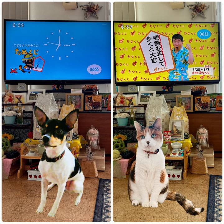 877d0220 cee7 4e06 9bec c110b64dd2a3 1753657994459