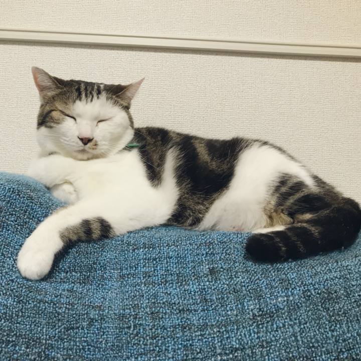 877d93a9 9de8 4877 bd28 74924d5919c8 1525857813741