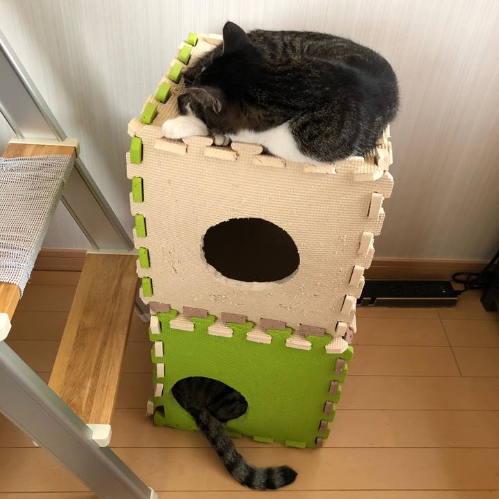 877dba05 3634 499c 90b8 75145b9ec549 1527301745724