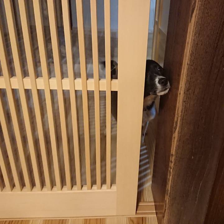 877decb4 fd9b 495e af5e b8cfe5378fb1 1568631118839