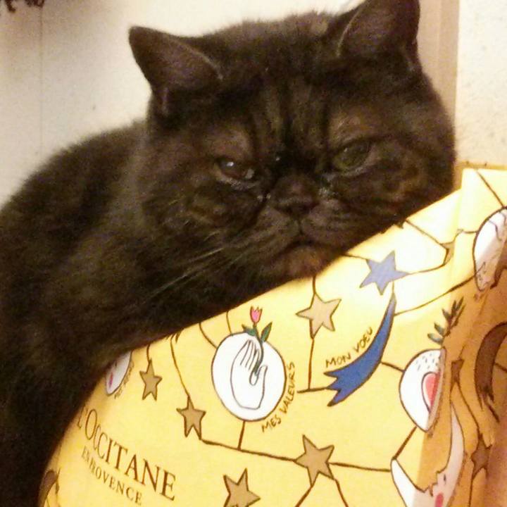 877df834 1607 452b 8514 18e9c84df507 1541897305494