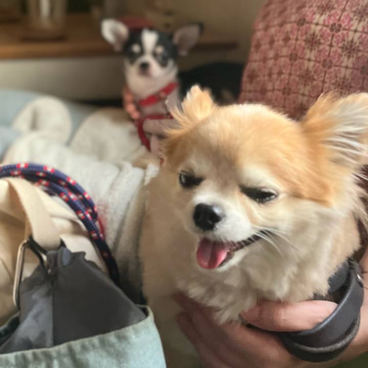 877e19be 9151 4377 9240 fc1927b3f873 1753185608732