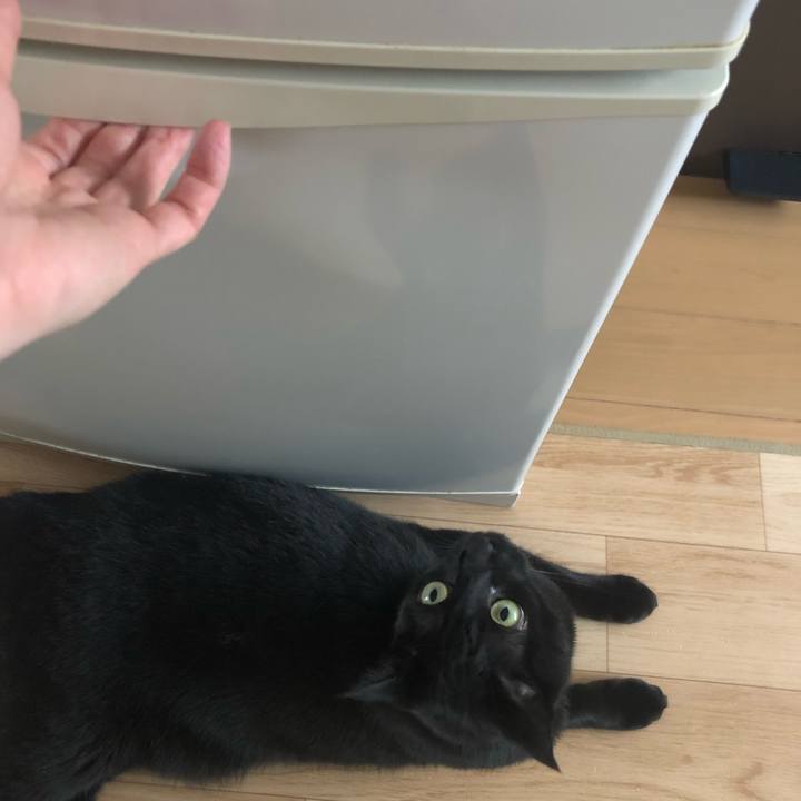 877e4caf 5299 4c74 a825 c649276bb43d 1563598450595