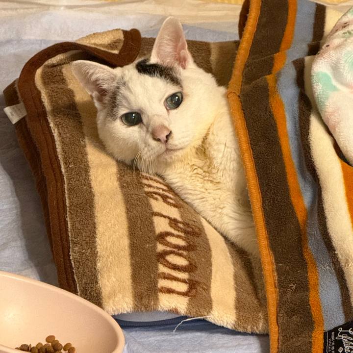 877e627f e0ce 408c 8f10 92e917f1af65 1768812440321