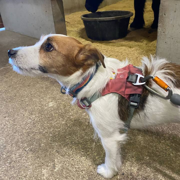 877e8070 4623 4eba 854e 11531c4a8113 1762167002708