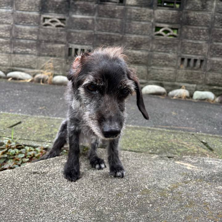 877e8901 d5cd 4f62 87db 5c0df1c7c707 1754954970201