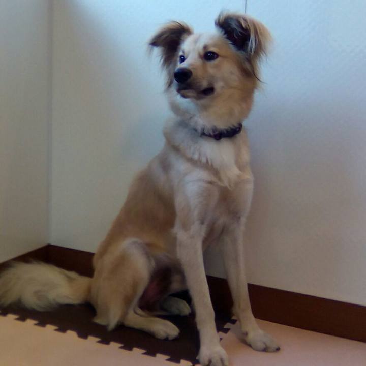 877ea5a0 4865 4b0b 8eb2 fd39fc7b1024 1530356950338