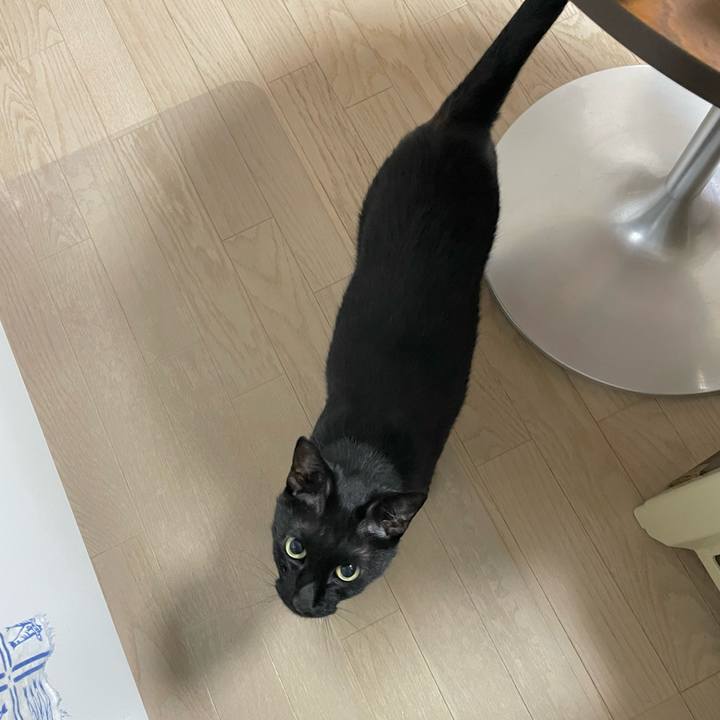 877ec498 d171 471e 916b 974dba2b9b67 1654698563169