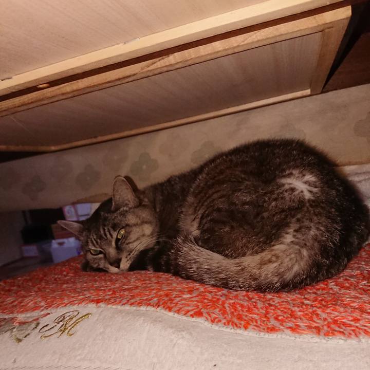 877ef2b8 dc51 4abf 801b 8280e28b3572 1571087856679