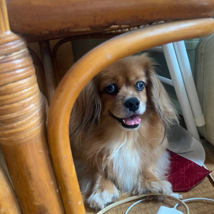 877f2a12 af38 4700 8bb4 9976e70b5eab 1662962387204