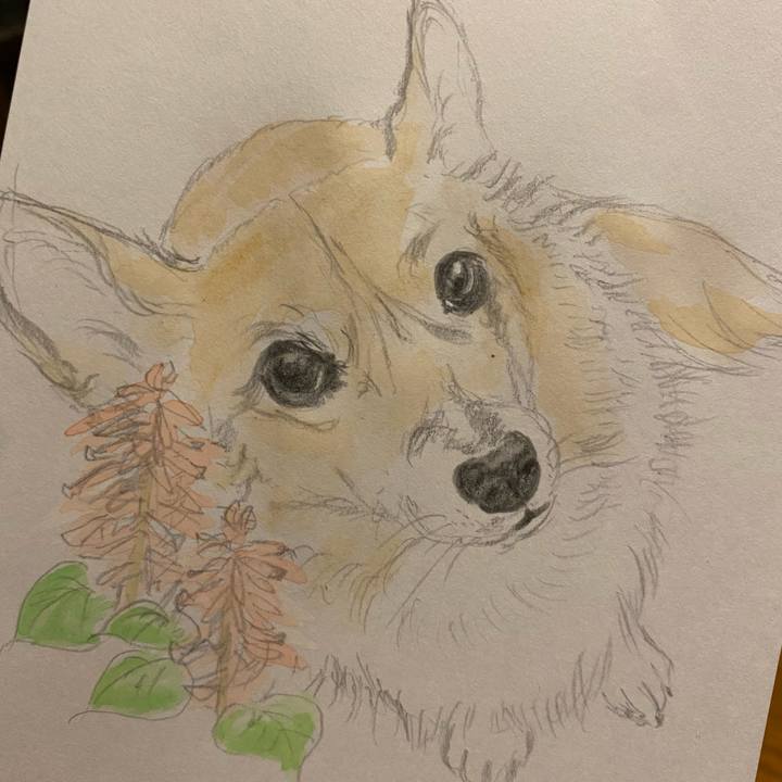 877f336e f477 4c24 ac1e 89d5c513fd15 1664890391526