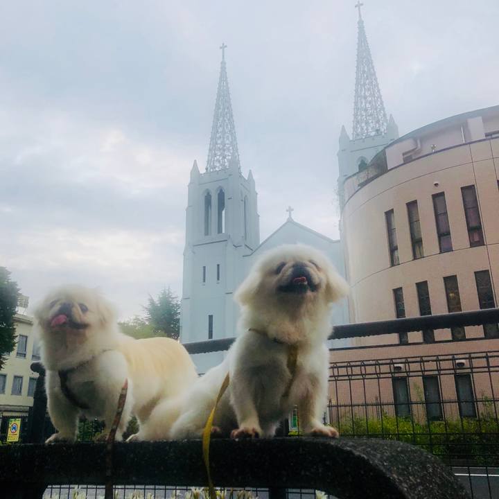 877f554d 8d47 4fa0 9ba4 b64e6bf760a6 1600470188051